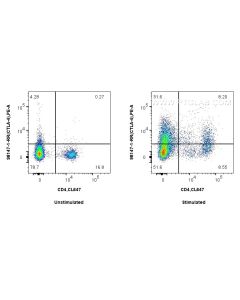 Anti-Mouse CTLA-4/CD152 Rabbit Recombinant Antibody proteintech 98147-1-RR