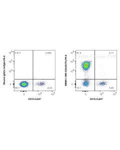 Anti-Human CD3 (OKT3) Mouse IgG2a Recombinant Antibody proteintech 65569-1-MR
