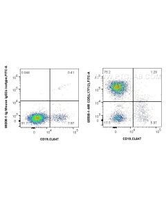 Anti-Human CD5 (L17F12) Mouse IgG2a Recombinant Antibody proteintech 65599-1-MR