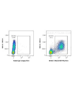 Anti-Human CD155/PVR Rabbit Recombinant Antibody proteintech 98186-1-RR