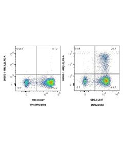 Anti-Human IL-2 Rabbit Recombinant Antibody proteintech 98053-1-RR