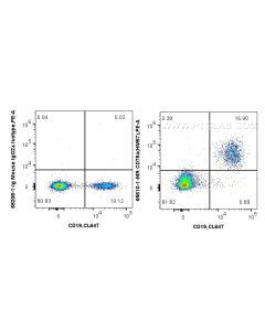 Anti-Human CD79a (HM57) Mouse IgG2a Recombinant Antibody proteintech 65610-1-MR