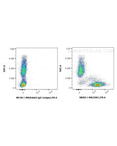 Anti-Human CD81 Rabbit Recombinant Antibody proteintech 98202-1-RR
