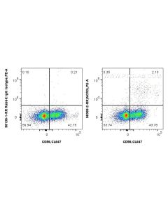 Anti-Human NCR3/NKp30 Rabbit Recombinant Antibody proteintech 98365-2-RR