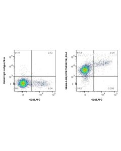 Anti-Mouse GITR/TNFRSF18 Rabbit Recombinant Antibody proteintech 98466-3-RR