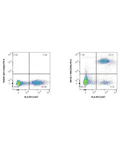 Anti-Human CD36 Rabbit Recombinant Antibody proteintech 98132-1-RR