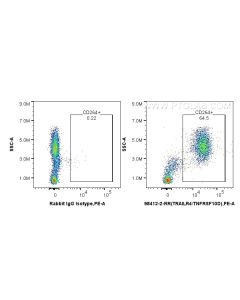 Anti-Human DcR2 Rabbit Recombinant Antibody proteintech 98412-2-RR