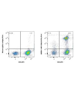 Anti-Human CD8 (UCHT4) Mouse IgG2a Recombinant Antibody proteintech 65559-1-MR