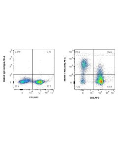 Anti-Human CD9 Rabbit Recombinant Antibody proteintech 98095-1-RR