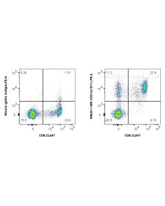 Anti-Human CD314/NKG2D (1D11) Mouse IgG2a Recombinant Antibody proteintech 65643-1-MR