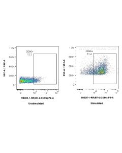 Anti-Mouse CD86 Rabbit Recombinant Antibody proteintech 98025-1-RR