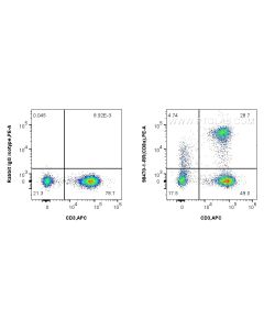 Anti-Human CD8a Rabbit Recombinant Antibody proteintech 98470-1-RR