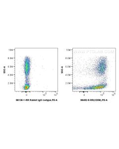 Anti-Human CD58 Rabbit Recombinant Antibody proteintech 98452-5-RR