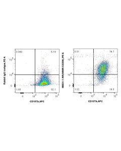 Anti-Mouse CD206 Rabbit Recombinant Antibody proteintech 98031-1-RR