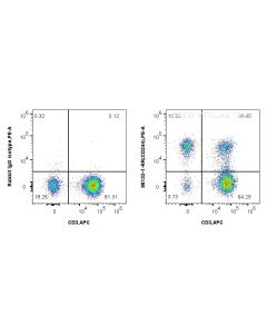Anti-Human CD244 Rabbit Recombinant Antibody proteintech 98133-1-RR