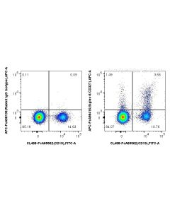 FcZero-rAb? APC Anti-Human Siglec-6/CD327 Rabbit Recombinant Antibody Proteintech  APC-FcA98416