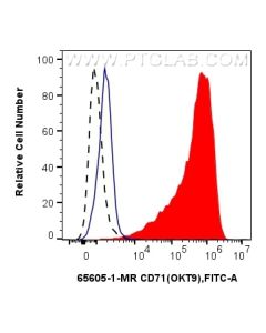 Anti-Human CD71 (OKT9) Mouse IgG2a Recombinant Antibody Proteintech  65605-1-MR