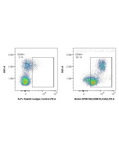 Biotin Anti-Human CD98/SLC3A2 Rabbit scFv Antibody Proteintech  Biotin-SF98190