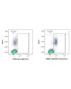 Anti-Human TNFR1/CD120a Rabbit Recombinant Antibody Proteintech  98085-1-RR