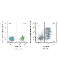 Anti-Mouse CD40L/CD154 Rabbit Recombinant Antibody Proteintech  98120-1-RR