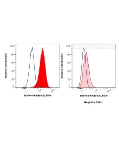 Anti-Human MICA/MICB Rabbit Recombinant Antibody Proteintech  98110-1-RR