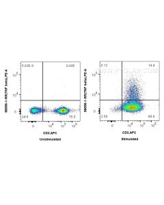 Anti-Human TNF beta Rabbit Recombinant Antibody Proteintech  98056-1-RR