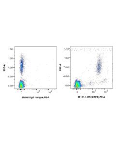 Anti-Human SIRP Alpha/CD172a Rabbit Recombinant Antibody Proteintech  98101-1-RR