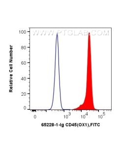 Anti-Rat CD45 (OX1) Proteintech  65228-1-Ig
