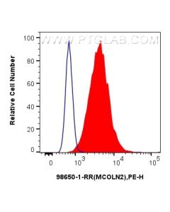 Anti-Human MCOLN2 Rabbit Recombinant Antibody Proteintech  98650-1-RR
