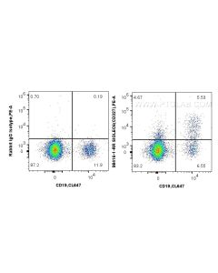 Anti-Human Siglec-6/CD327 Rabbit Recombinant Antibody Proteintech  98416-1-RR