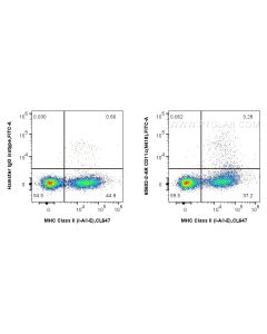 Anti-Mouse CD11c (N418) Armenian Hamster IgG2a Recombinant Antibody Proteintech  65602-2-AR
