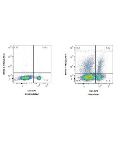 Anti-Rat IL-2 Rabbit Recombinant Antibody Proteintech  98046-1-RR