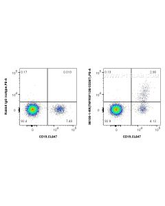 Anti-Human TNFRSF13B/CD267 Rabbit Recombinant Antibody Proteintech  98100-1-RR
