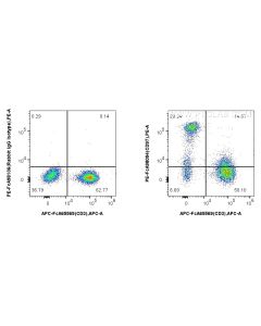 FcZero-rAb? PE Anti-Human CD97 Rabbit Recombinant Antibody Proteintech  PE-FcA98094