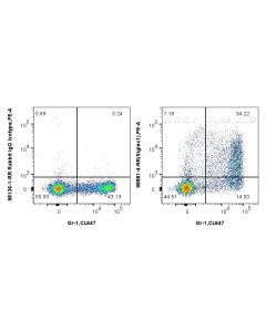 Anti-Mouse CD169 Rabbit Recombinant Antibody Proteintech  98581-4-RR