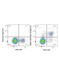 Anti-Human KIR3DL1/CD158E Rabbit Recombinant Antibody Proteintech  98389-1-RR
