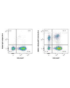Anti-Human SLAMF7/CD319 Rabbit Recombinant Antibody Proteintech  98093-1-RR