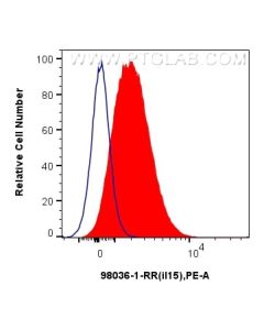 Anti-Mouse IL-15 Rabbit Recombinant Antibody Proteintech  98036-1-RR