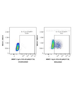 Anti-Mouse IL-12/IL-23 p40 (C17.8) Proteintech  65097-1-Ig