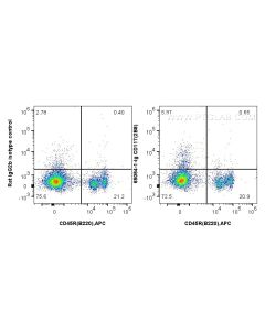 Anti-Mouse CD117/c-Kit (2B8) Proteintech  65054-1-Ig