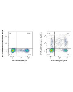 FcZero-rAb? APC Anti-Human Granzyme B Rabbit Recombinant Antibody Proteintech  APC-FcA98070