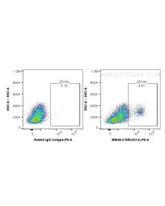 Anti-Sheep CD14 Rabbit Recombinant Antibody Proteintech  98648-3-RR