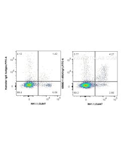 Anti-Mouse KLRG1 (2F1) Armenian Hamster IgG2a Recombinant Antibody Proteintech  65682-1-AR