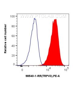 Anti-Human TRPV3 Rabbit Recombinant Antibody Proteintech  98540-1-RR