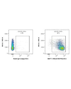 Anti-Mouse CD155/PVR Rabbit Recombinant Antibody Proteintech  98077-1-RR