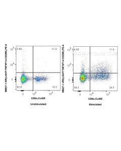 Anti-Mouse LIGHT/CD258 Rabbit Recombinant Antibody Proteintech  98627-1-RR