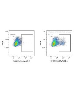 Anti-Human CRLF2 Rabbit Recombinant Antibody Proteintech  98415-1-RR
