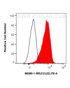Anti-Human CCL22/MDC Rabbit Recombinant Antibody Proteintech  98280-1-RR