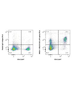 Anti-Mouse CD126/IL-6R alpha Rabbit Recombinant Antibody Proteintech  98024-1-RR