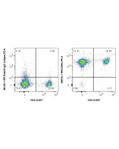 Anti-Mouse CD84 Rabbit Recombinant Antibody Proteintech  98076-1-RR